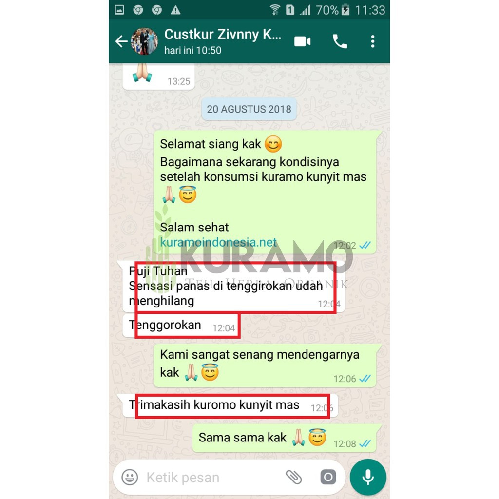 Kuramo Kunyit Mas Original | Asam Lambung | Penambah Nafsu Makan | Obat Herbal Alami 200g | Pandanus-5