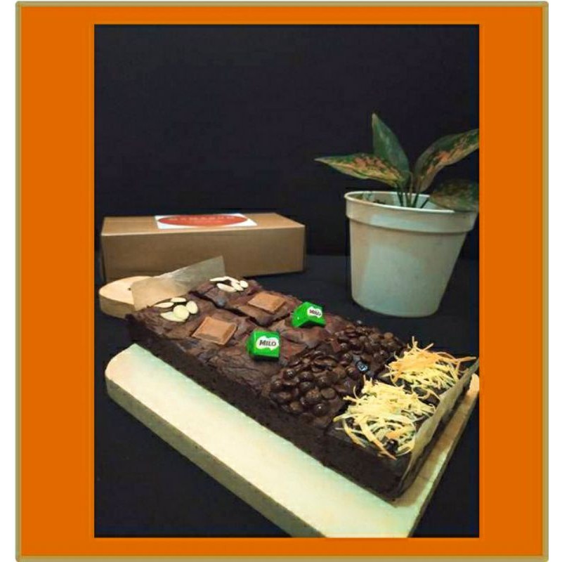 

Fudgy Brownies Sekat Medium