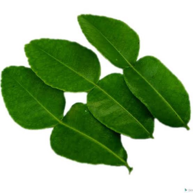 

Daun jeruk