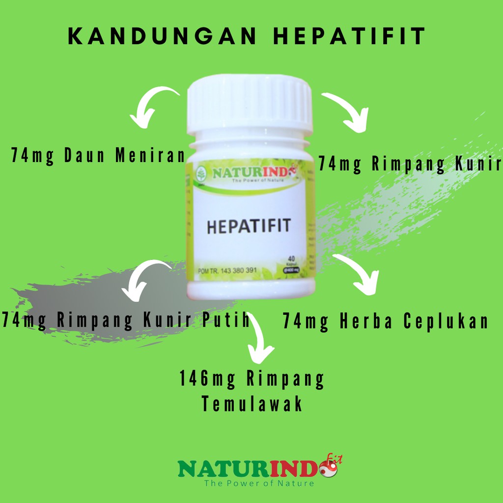 NATURINDO Obat Herbal Fungsi Hati Liver Hepatitis Pankreas Tifus Tipes Hepatifit 40 Kapsul-2
