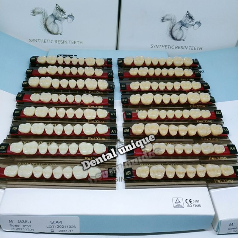 Gigi Palsu YP/SYNTHETIC ( GERAHAM ATAS ) GIGI PALSU SYNTHETIC RESIN TEET