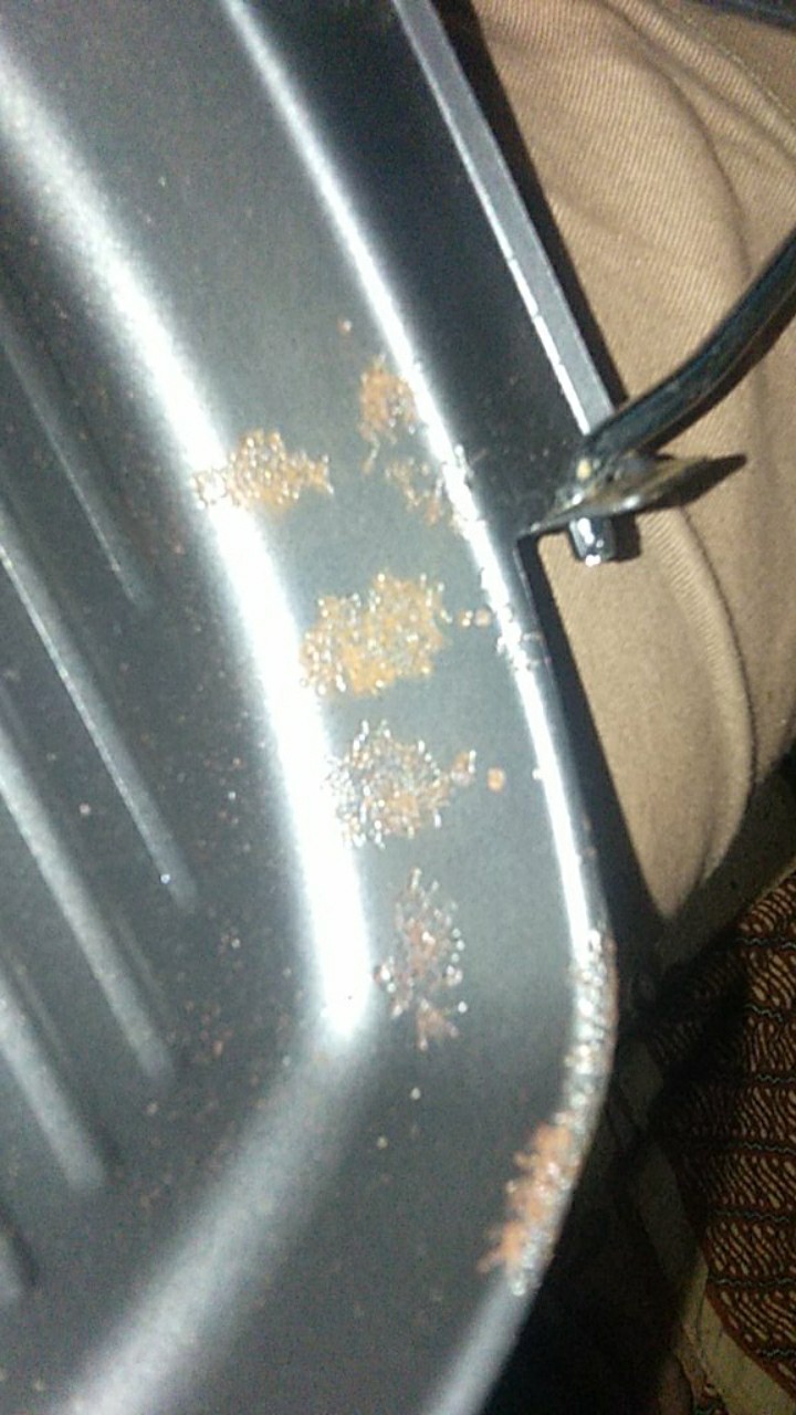 [free Buble ] Square Grill Pan 20 Cm