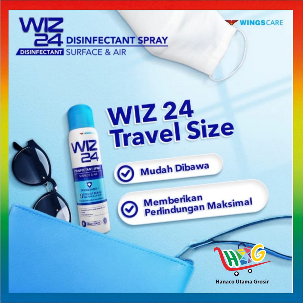 Wiz 24 Disinfectant Spray Aerosol 100 ml