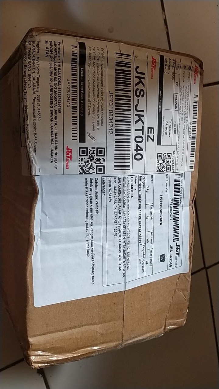 Benih New Day Seed Selada Karina