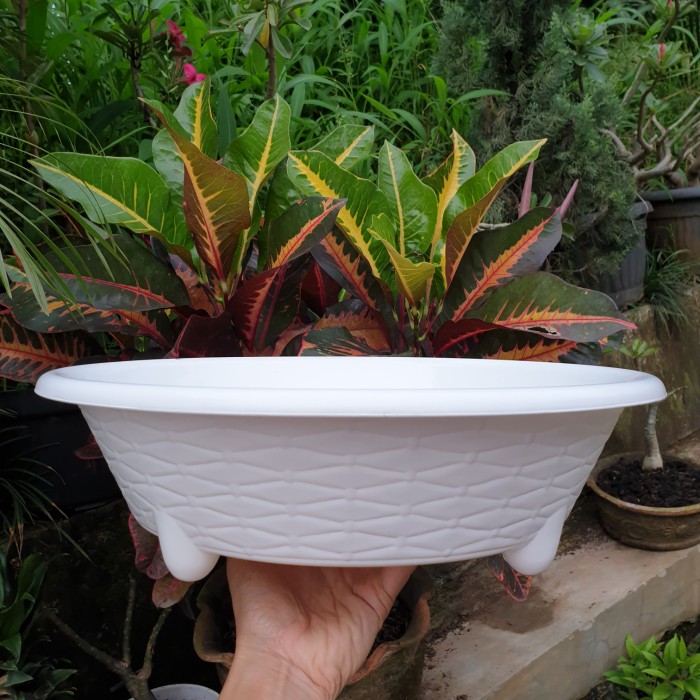 BJP BONSAI 06 BULAT 35cm pot bunga bonsai bulat ceper ori Budi Jaya 06