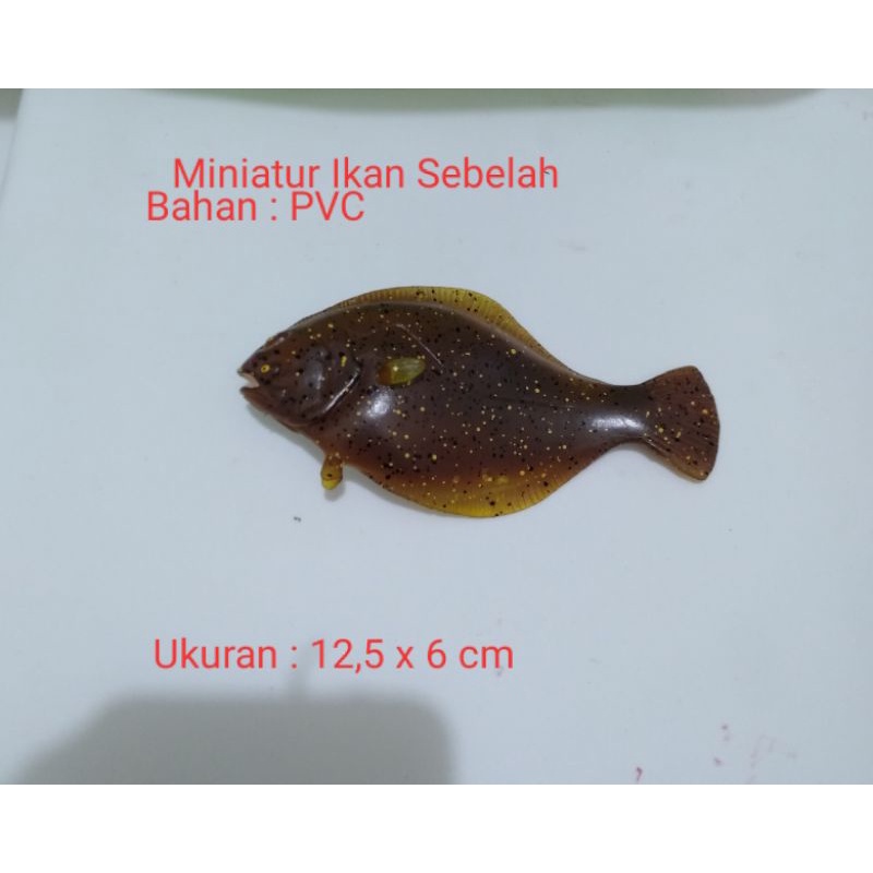 Miniatur Ikan Sebelah Miniatur Flatfish