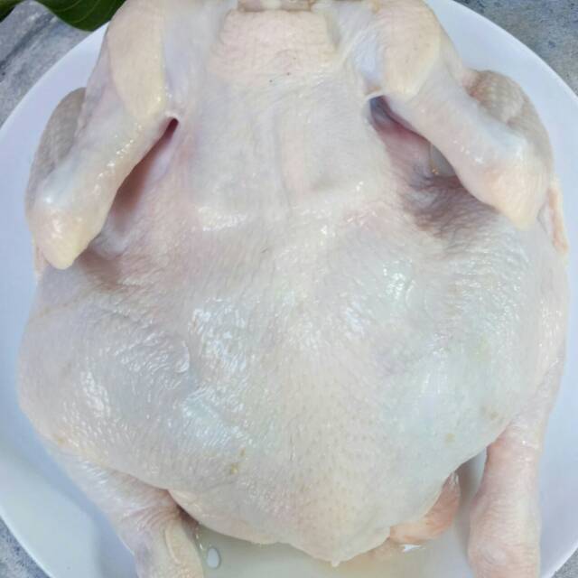 

Ayam broiler fresh ukuran 0.9kg
