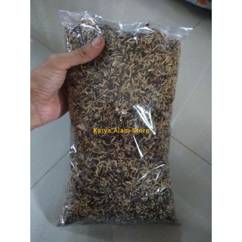 Media Tanam Aglaonema / Media Tanaman Calathea philodendron