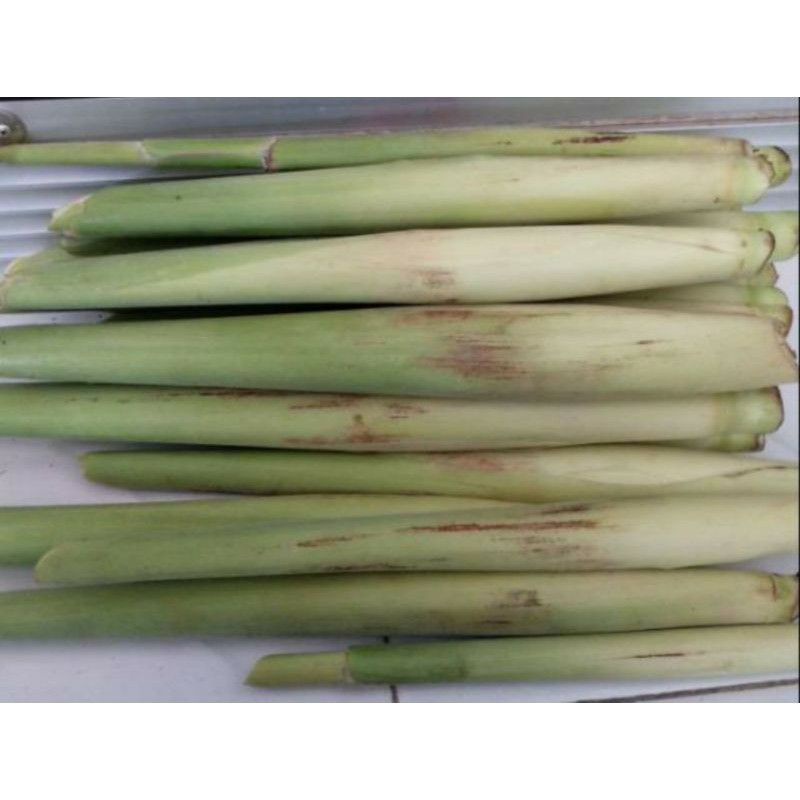 

1kg turubuk/telor tebu/ sayuran turubuk murah