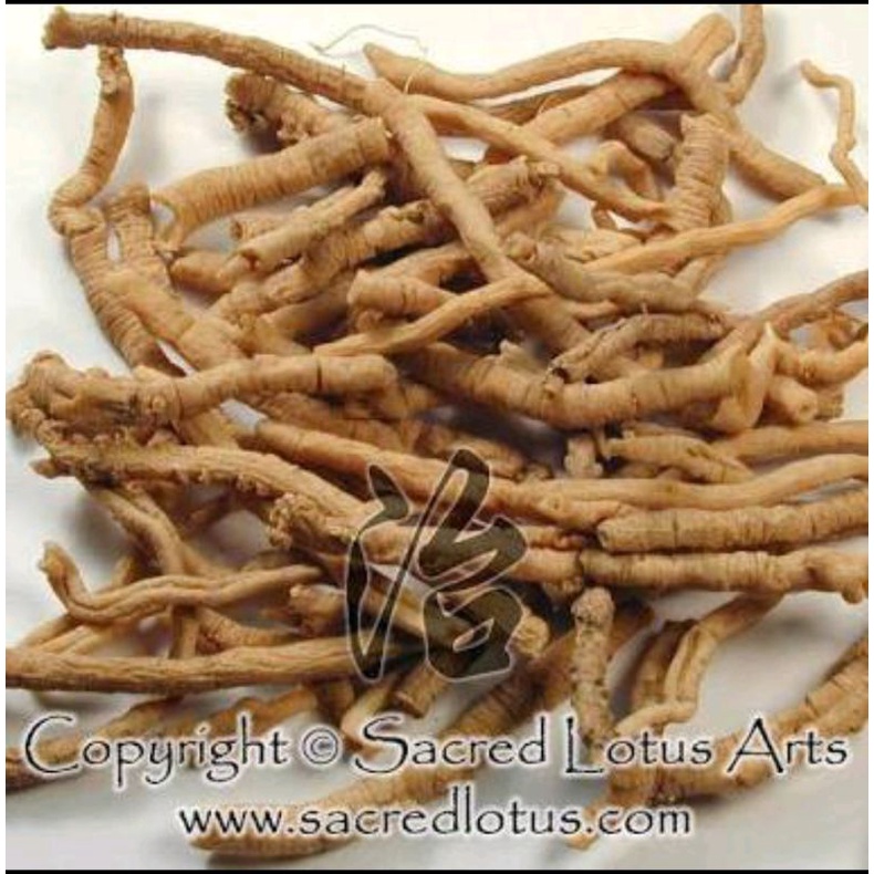

600 G GR GRAM YUAN ZHI TONG RADIX POLYGALAE POLYGALA SENEGA ROOT