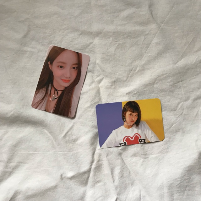 Momoland Great Official Photocard