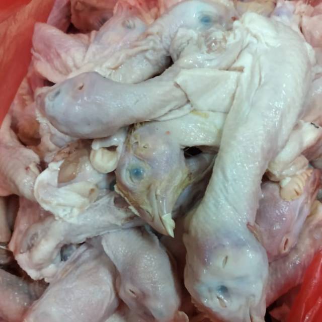 

pala ayam boiler fress