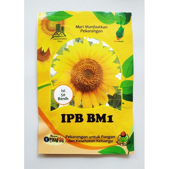 Benih Bunga  Matahari  IPB BM1 Pack Dramaga Shopee Indonesia