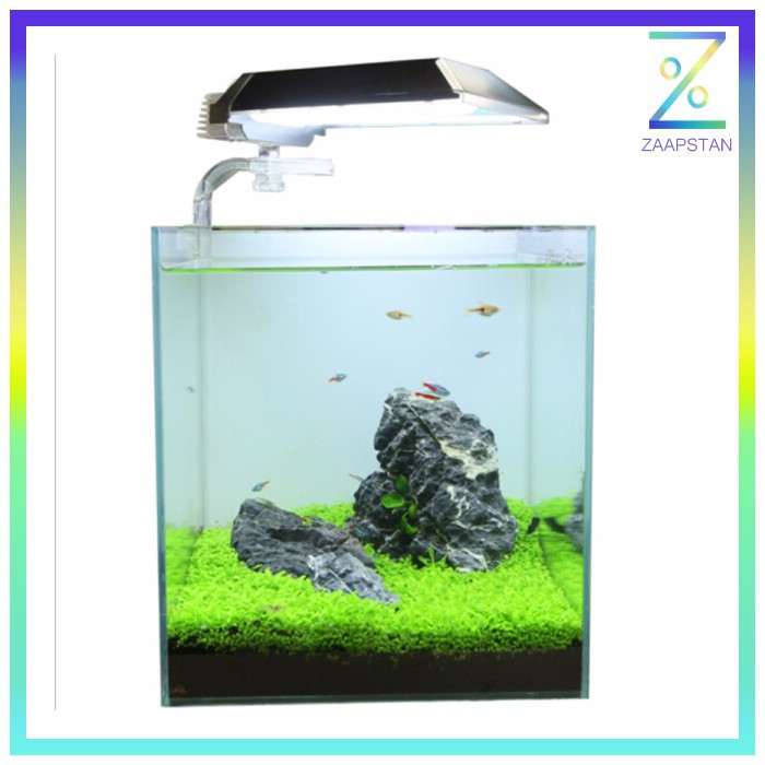 Bibit Rumput Air Dekorasi Aquarium Landscape Ornament - H0027