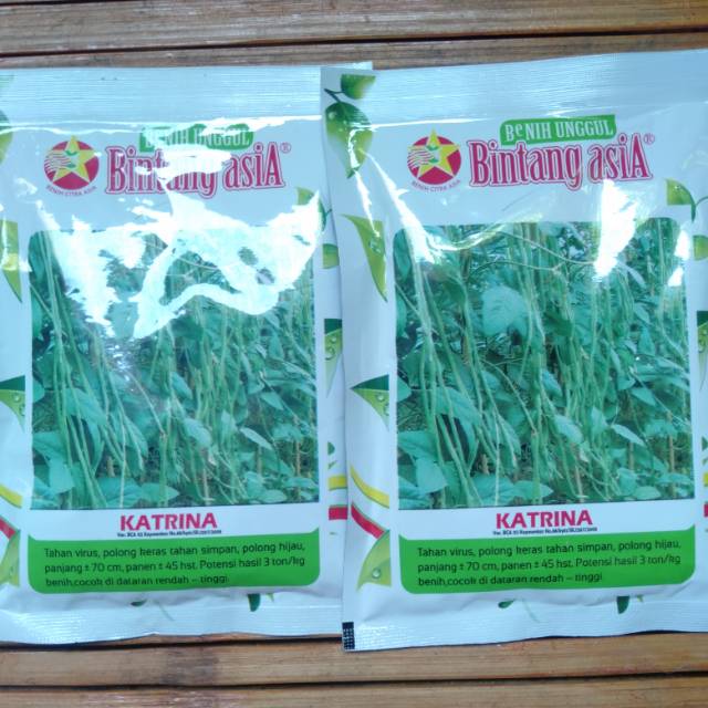 Benih kacang panjang KATRINA