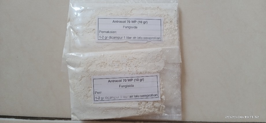 Antracol 10 Gram (repack)