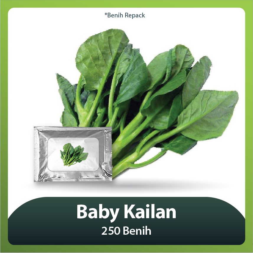 Benih Bibit Baby Kailan 250benih Shopee Indonesia