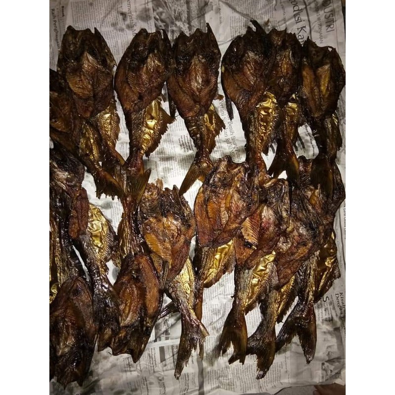 

ikan salai /salais patin khas Riau kampar