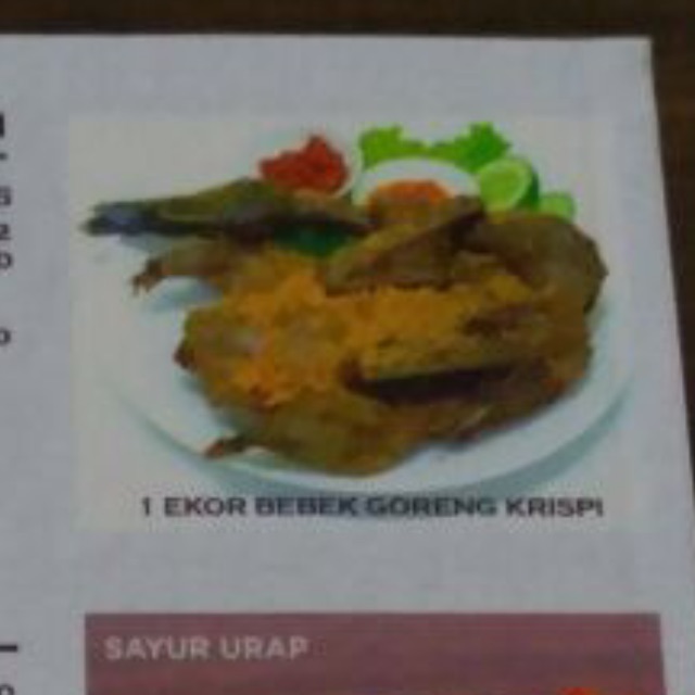 

1 Ekor Bebek Goreng Krispi