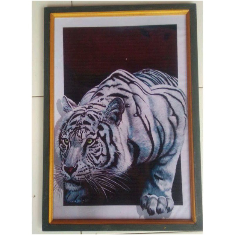 hiasan dinding macan putih plus bingkai uk 65 x45
