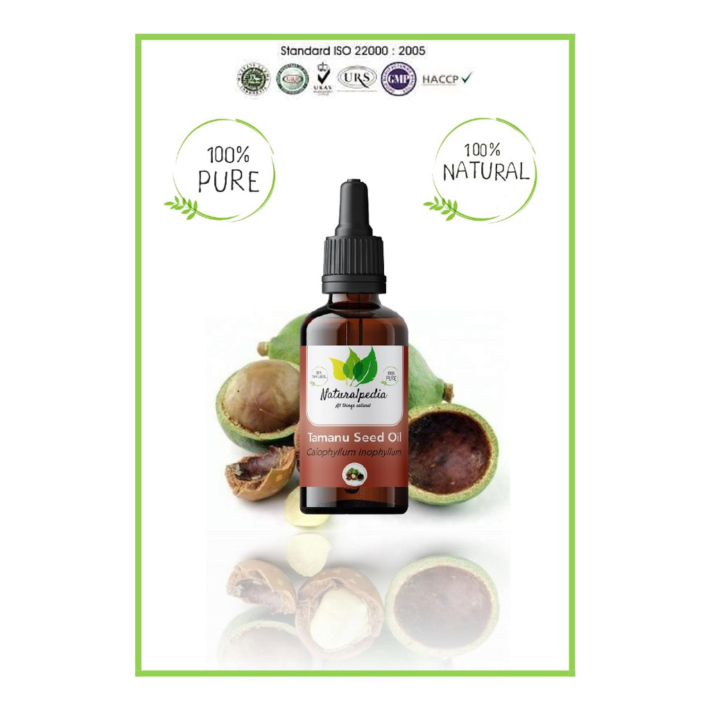 Pure Tamanu Seed Oil / Minyak Biji Tamanu Murni 30ml Carrier Oil