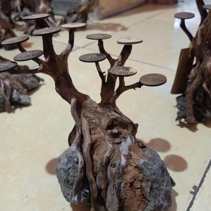 Aqua | Bonsai Aquascape Bonsai Mini Aquascape Kayu Rasamala 50K