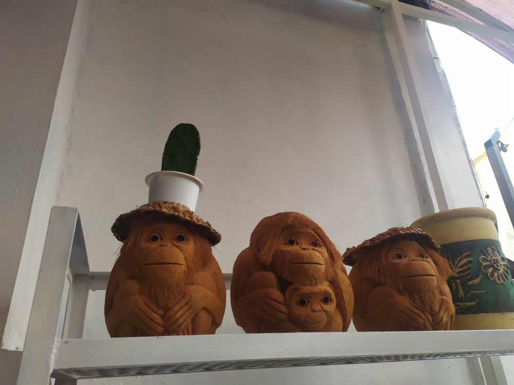 Pot Bunga Pot Pot Plastik Pot Lukis Pot Unik Pot Kaktus Pot Bunga Pot Pot Plastik Pot Lukis Pot Unik Pot Kaktus