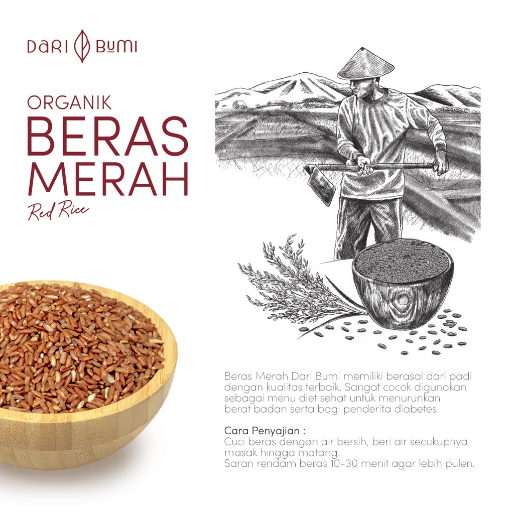 Beras Organik 1 Kg daribumi Premium Pure Organic