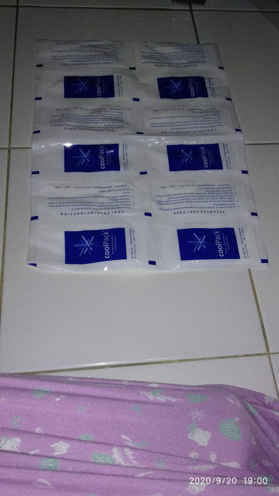 Pengganti Dry Ice - Pengganti Biang Es - Thermafrizze