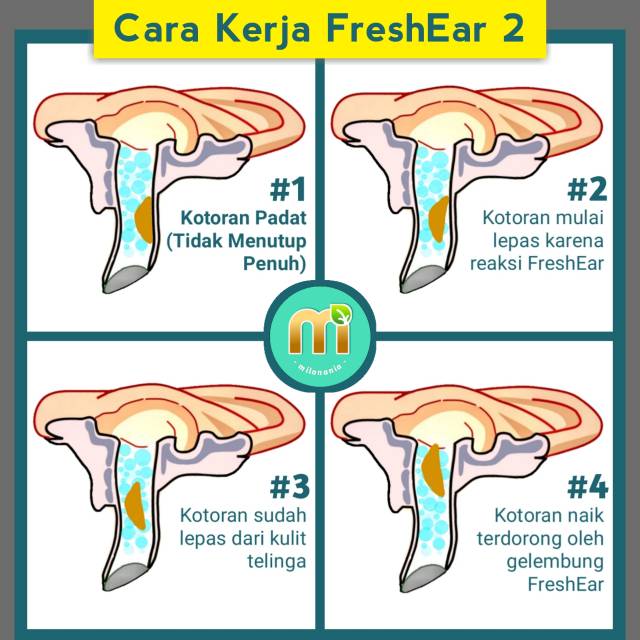 FRESH EAR : OBAT PEMBERSIH TELINGA EFEKTIF DAN AMAN ( EAR CLEANER )