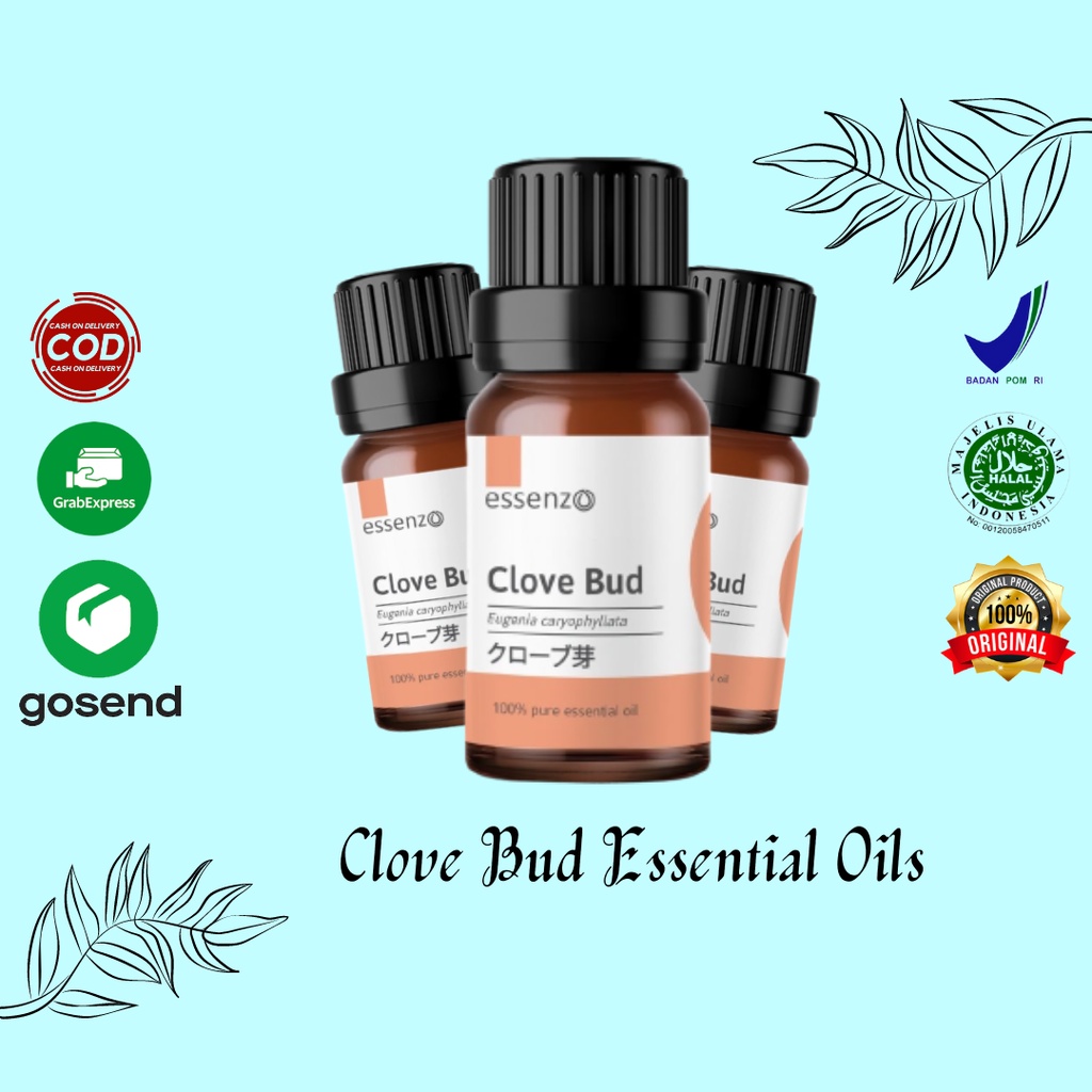 Jual Clove Bud Essential Oil Obat Sakit Gigi Dan Gusi Berlubang ...