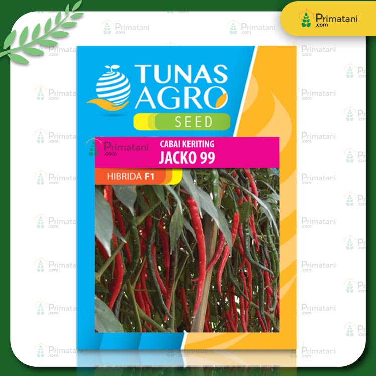 Cabai Keriting Jacko 99 F1 10gr
