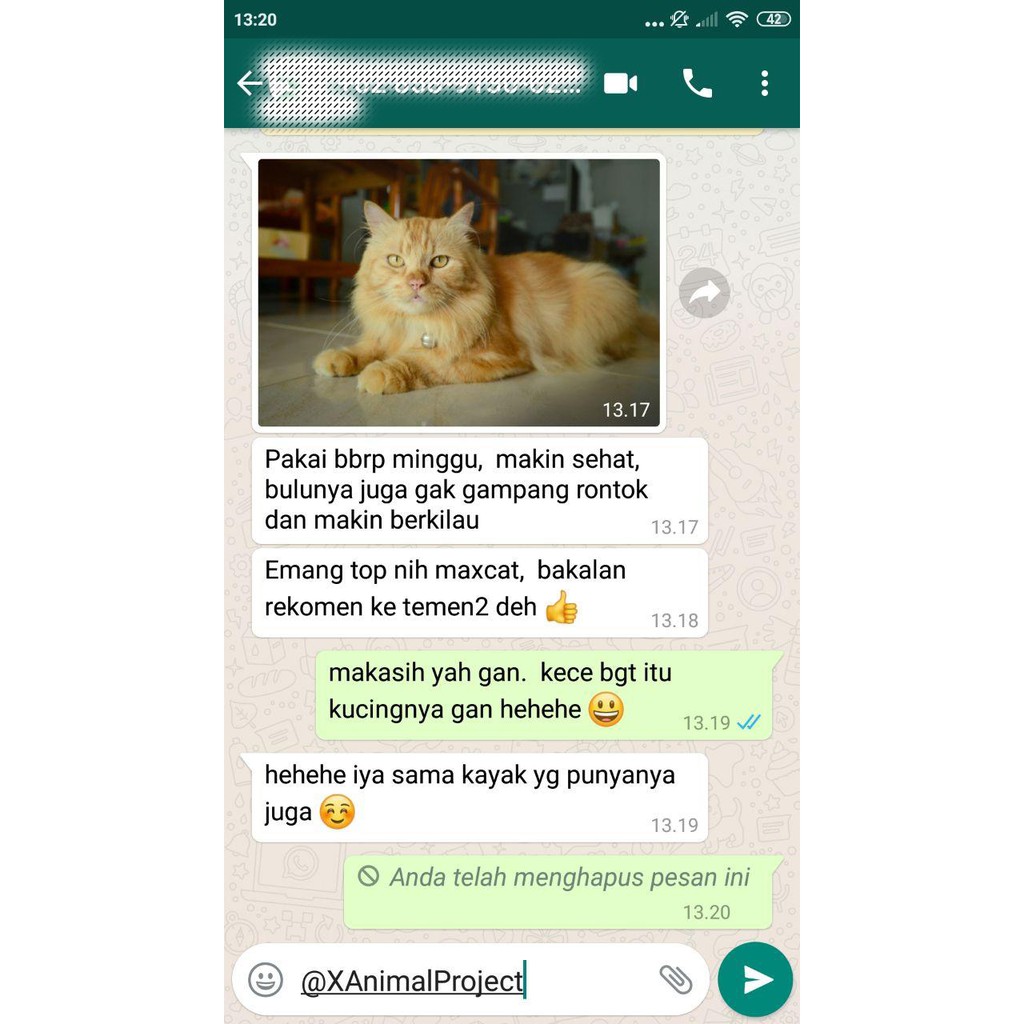 [AB02] MAXCAT VITAMIN LENGKAP PENGGEMUK KUCING PENAMBAH BERAT BADAN NAFSU MAKAN ANTI BODY