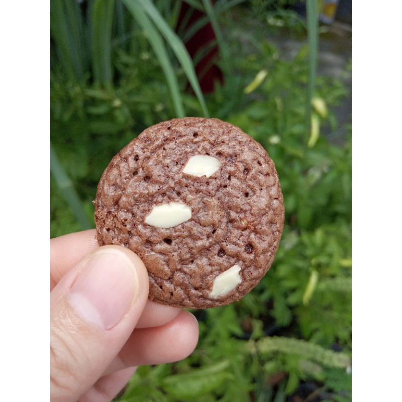 

brownie cookies