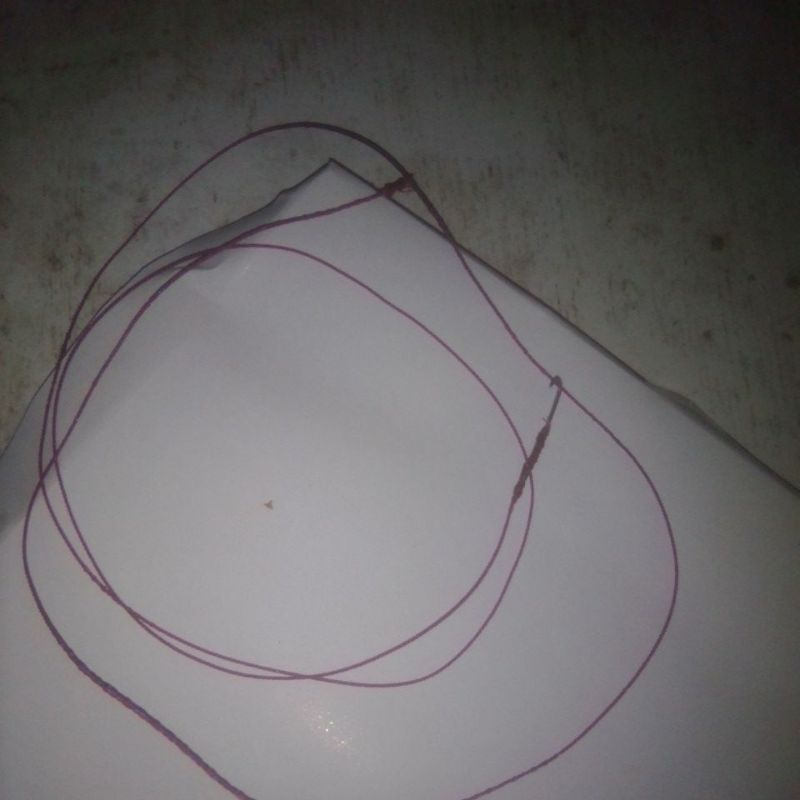 kail pancing belut sawah/rawa