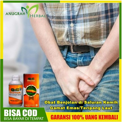 Obat Benjolan di Saluran Kemih Gamat Emas/Teripang Laut |  Herbal Penghilang Balanitis, Balanoposthi