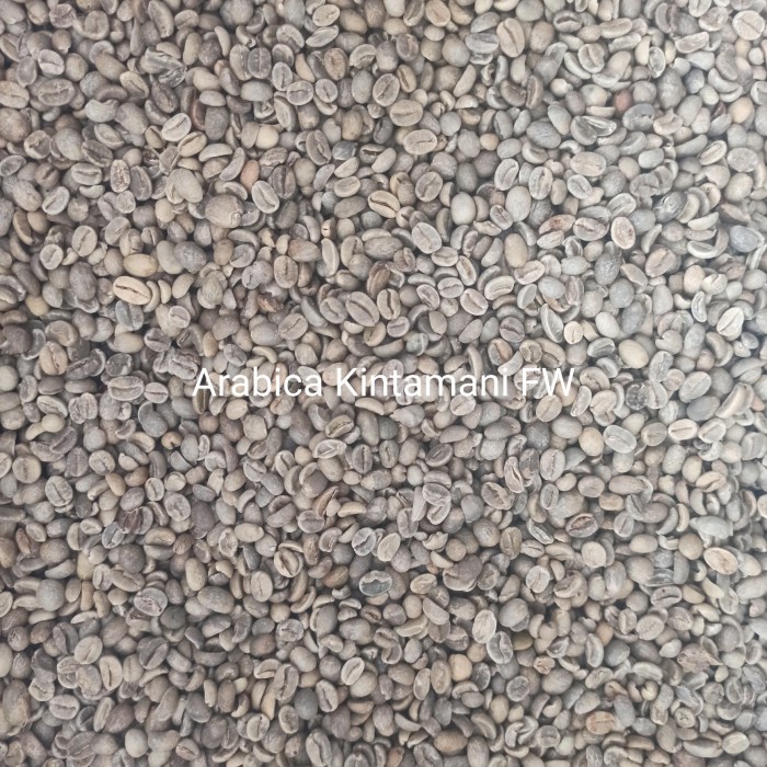 

(BISA COD) Arabica bali kintamani greenbean
