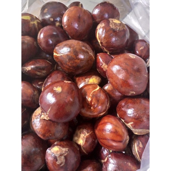 

LE jengkol tua segar 500 gr