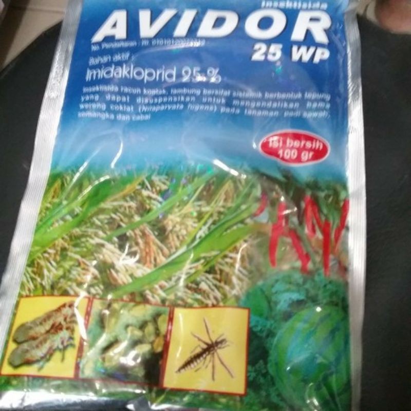 AVIDOR 25WP 100GR