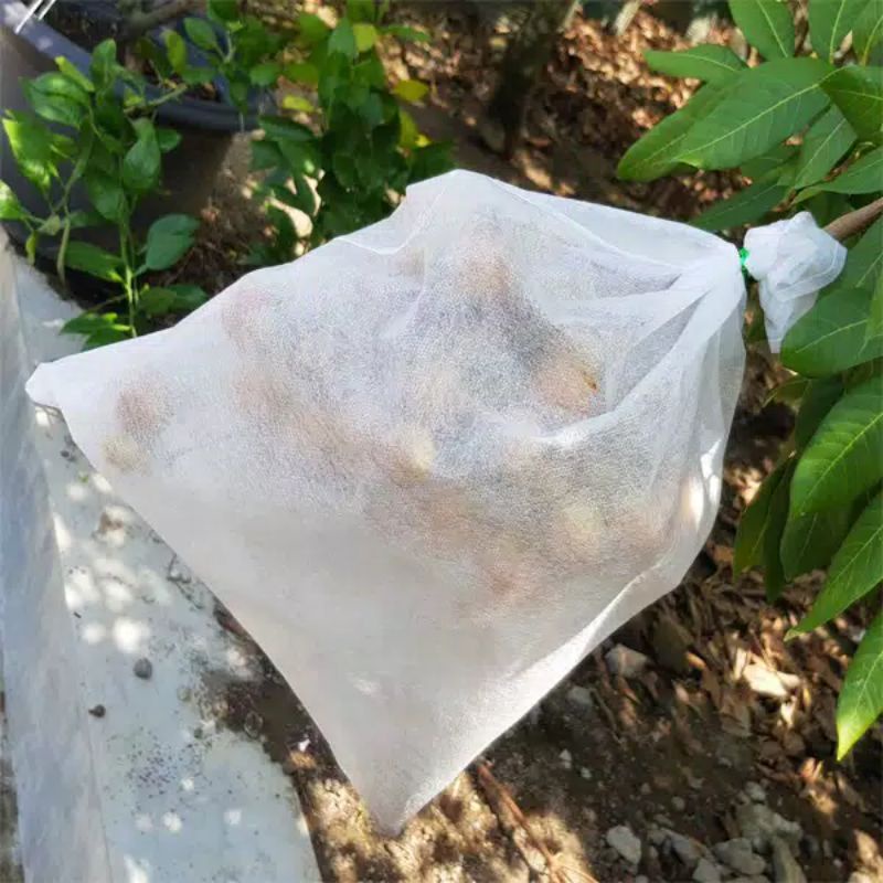 FRUIT COVER EASY GROW COVER PEMBUNGKUS BUAH NANGKA, PEPAYA, KELENGKENG UKURAN XXL (45x50)