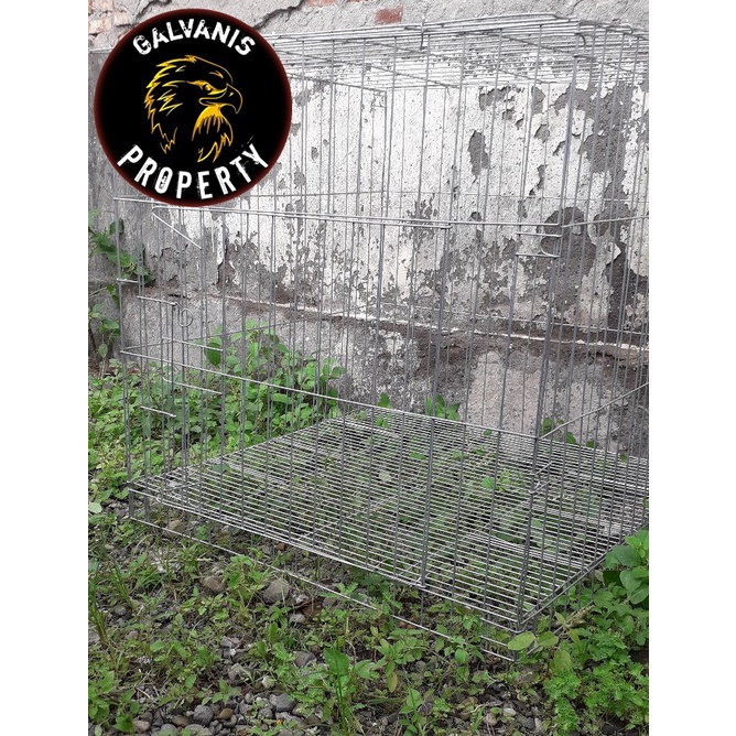 KURUNGAN UMBARAN AYAM BANGKOK / JAGO / LAGA DENGAN ALAS GALVANIS P80L80T80 / BOX KURUNGAN KANDANG HE