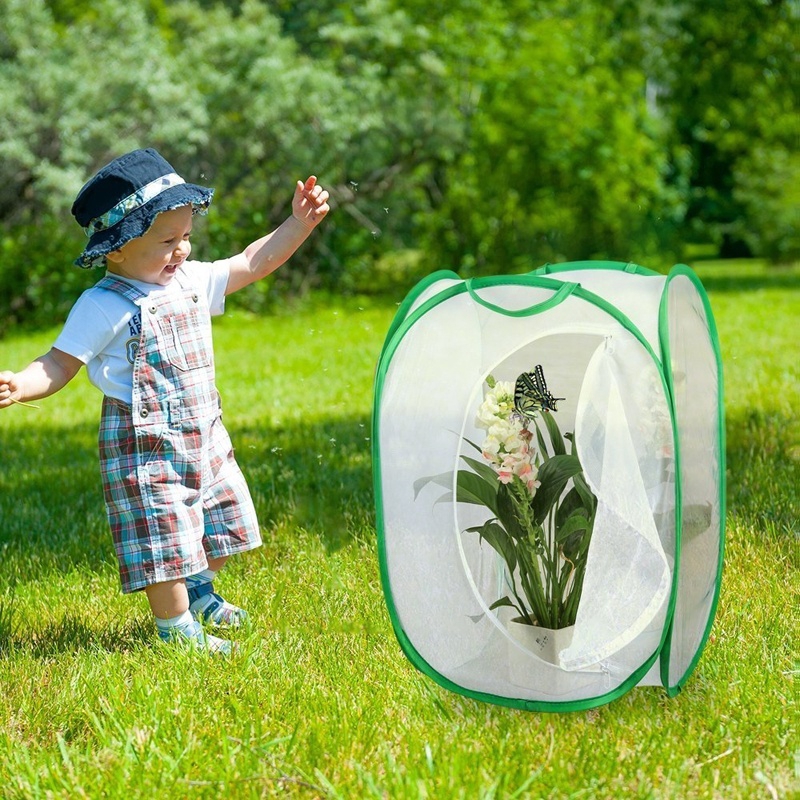 Collapsible Insect And Butterfly Habitat Net Pop Up Tall White Kids Butterfly Net Shopee Indonesia