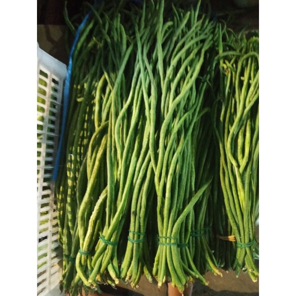 

Kacang Panjang (500gram)
