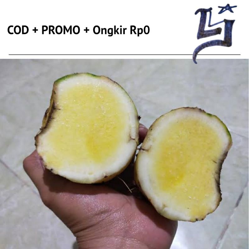 

COD Ubi Talas Beneng Banten Ubi Bentul