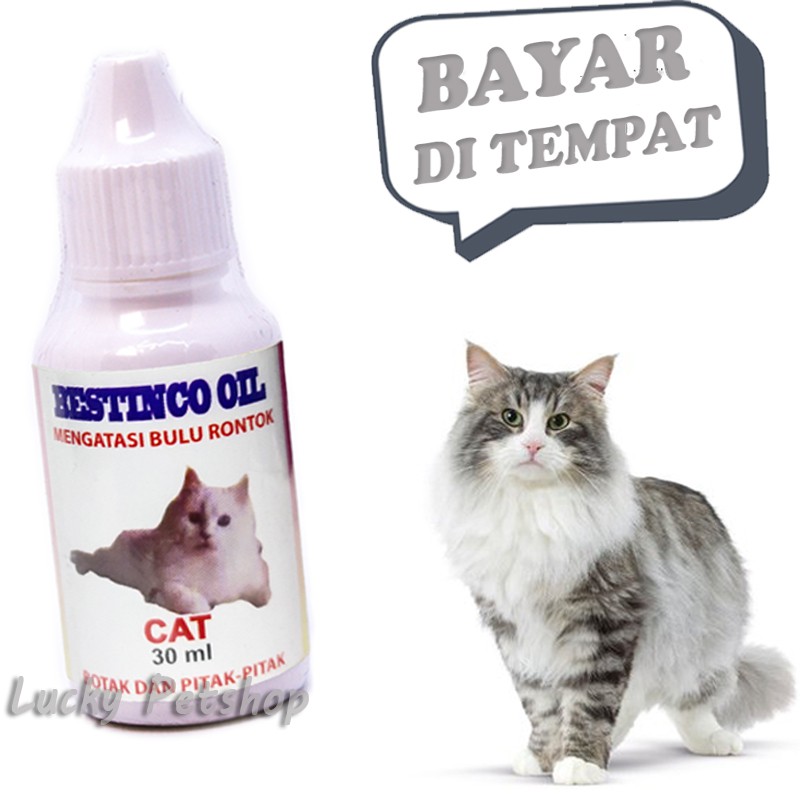 VITAMIN BULU KUCING PENUMBUH BOTAK PITAK BESTINCO OIL