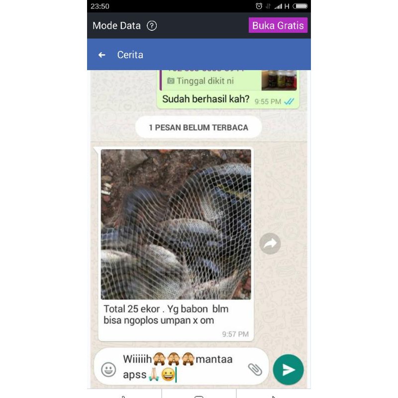 Essen jitu oplosan kopi bolu mocca target ikan mas babon dan totalan