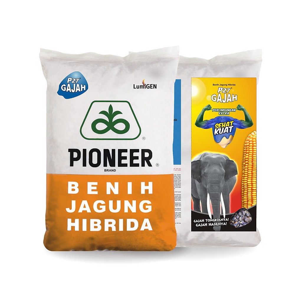 BENIH JAGUNG HIBRIDA PIONEER P27 LUMIGEN/ BIBIT BENIH JAGUNG P27LUMIGEN