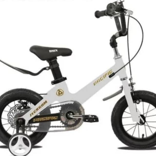 Sepeda Anak Zeckrom TW001 BMX 16 Inch