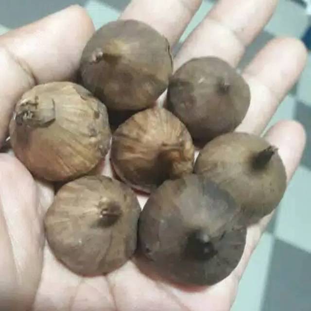 

Black garlic premium 50gr