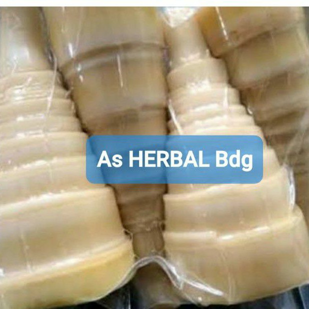 

RB22 Jual rebung sayur rebung bambu sayuran 1 kg sudah bersih